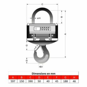 Peson       1t • Crochet peseur 1t • Dynamomètre 1t • Pesage pour fonderie de 0 à 1000kg • KGW1