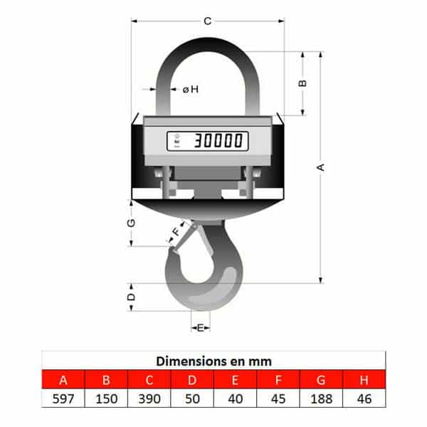 Peson       1t • Crochet peseur 1t • Dynamomètre 1t • Pesage pour fonderie de 0 à 1000kg • KGW1