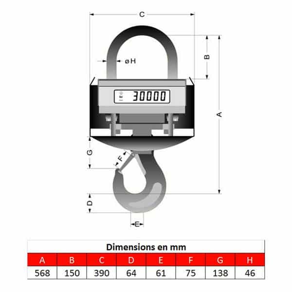 Peson    10t • Crochet peseur 10t • Dynamomètre 10t • Pesage pour fonderie de 0 à 10000kg • KGW10
