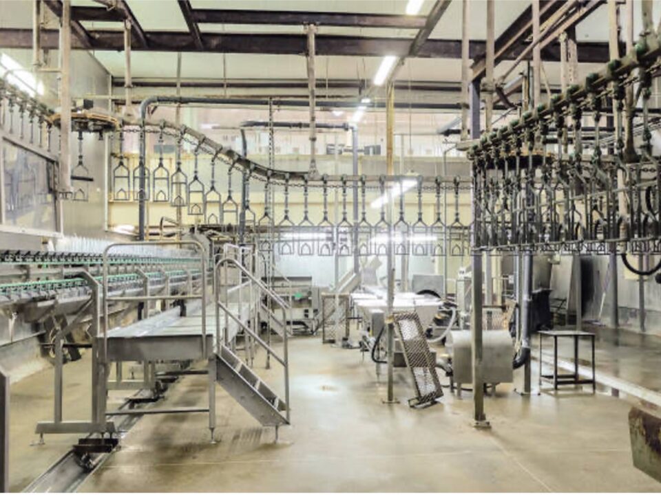 levage agroalimentaire.