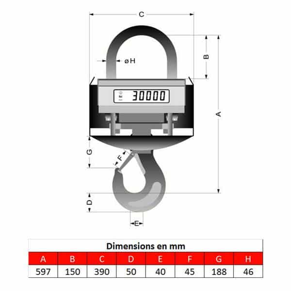 Peson     5t • Crochet peseur 5t • Dynamomètre 5t • Pesage pour fonderie de 0 à 5000kg • KGW5