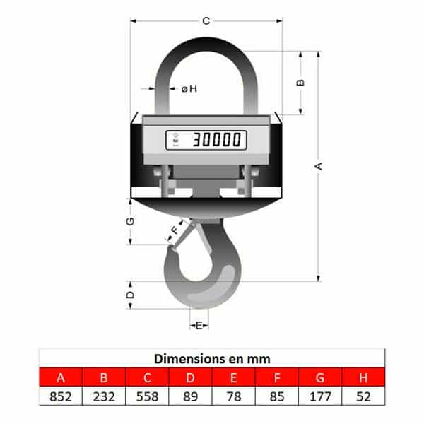 Peson 30t • Crochet peseur 30t • Dynamomètre 30t • Pesage pour fonderie de 0 à 30000kg • KGW30