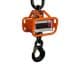 Peson LD2 - Pesage de 0 à 2 000kg