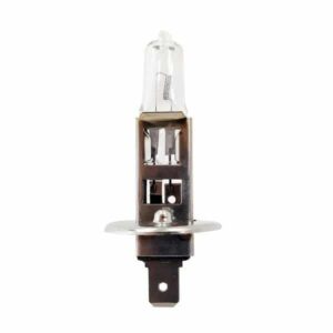 Ampoule pour gyrophare 12 V