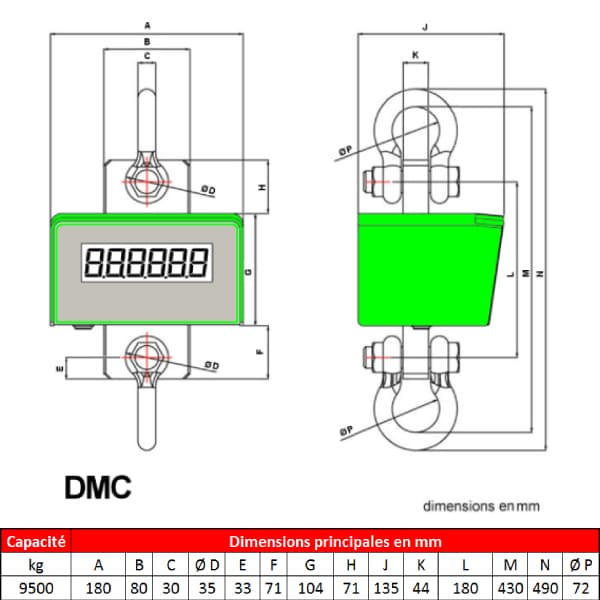 Peson DMC  9 500 kg